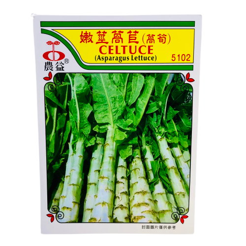 Celtuse Asparagus Lettuce Seeds(ဆလတ်ရိုး သို့ အော်စွန်း) Myanmar Food USA