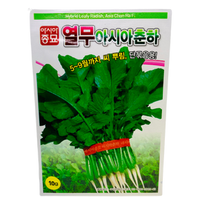 Young Radish Seeds (အရွက်စားမုန်လာ)