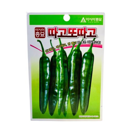 Hybrid Korean Hot Pepper (ကိုး ရီး ယား င ရုတ် သီး)