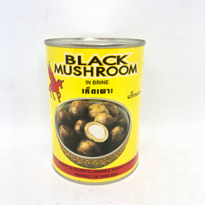 Black Mushroom in Brine (အင် အု)
