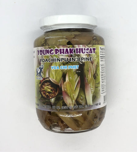 Young Phat Hucat in Brine (ညောင် ချဉ် ဖူး ချဉ် ဖတ်)
