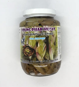 Young Phat Hucat in Brine (ညောင် ချဉ် ဖူး ချဉ် ဖတ်)
