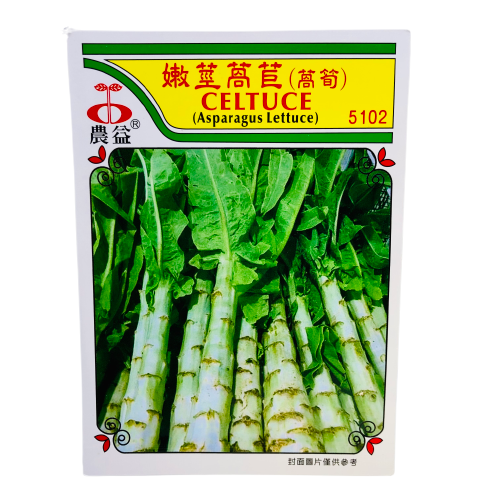 Celtuse Asparagus Lettuce Seeds(ဆလတ်ရိုး သို့ အော်စွန်း)