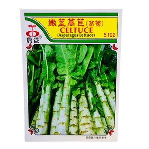 Celtuse Asparagus Lettuce Seeds(ဆလတ်ရိုး သို့ အော်စွန်း)