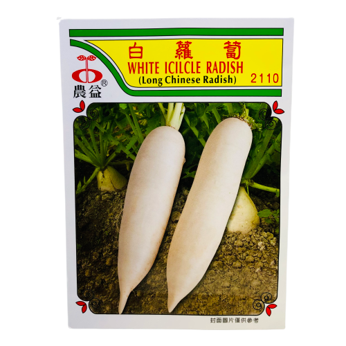 Long Chinese Radish Seeds(မုန်လာဥဖြူ)