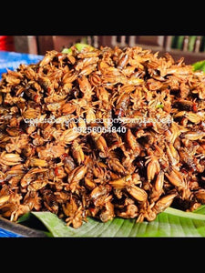 Shwe Hnin Si Seasoned Fried Cricket ( ရွှေ နှင်း ဆီ ပု ရစ် ကြော်)